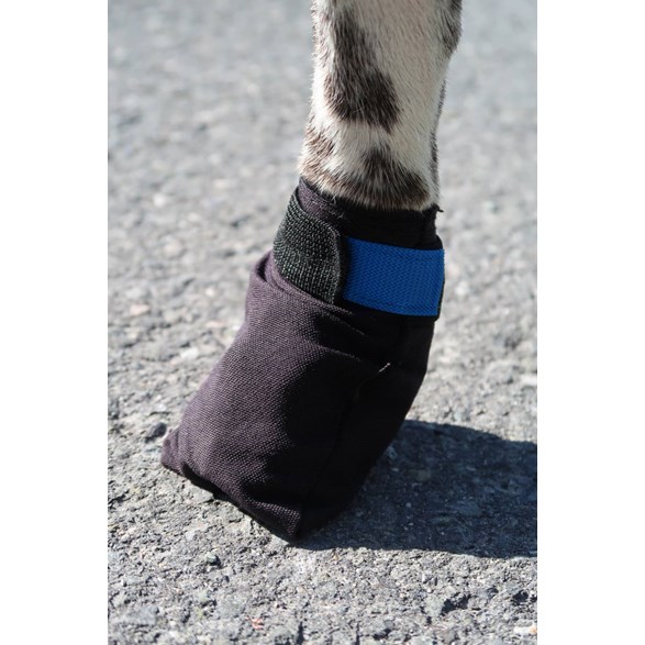 VIP Finnmark Dog socks